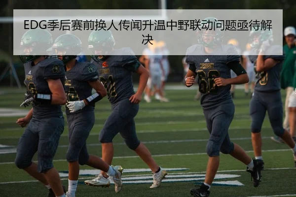 EDG季后赛前换人传闻升温中野联动问题亟待解决