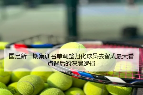 国足新一期集训名单调整归化球员去留成最大看点背后的深层逻辑
